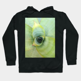 Bomeliad Alcantrea Imperialis Hoodie